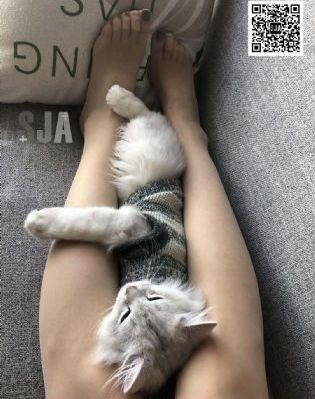吃货俱乐部